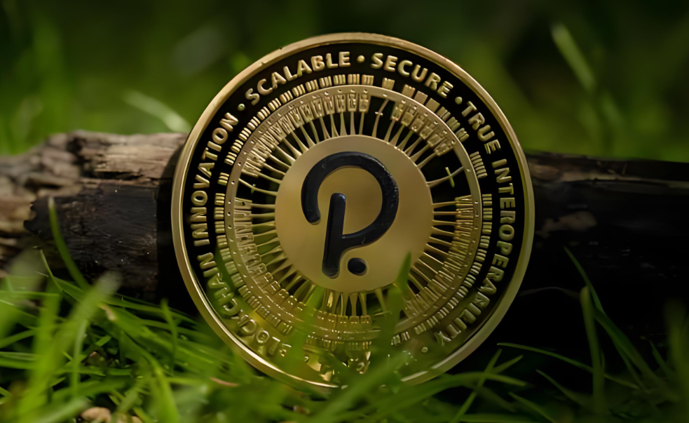 dot币为什么大涨？dot币暴涨原因解密