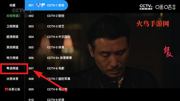 雨露FM电视软件