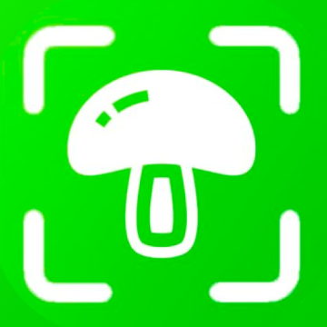 蘑菇识别高手下载 v1.7