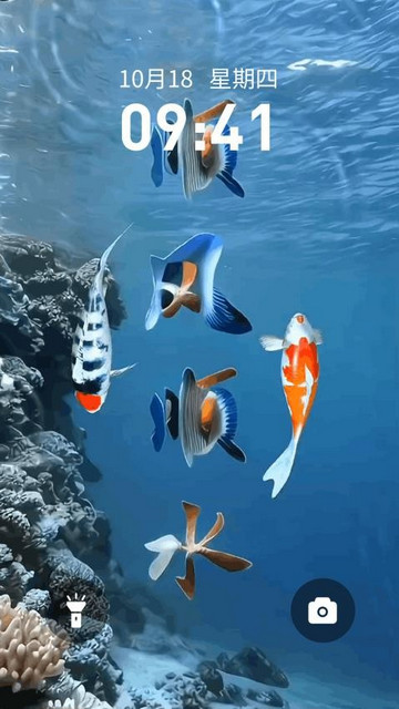 锦鲤金鱼壁纸最新安卓版截图2