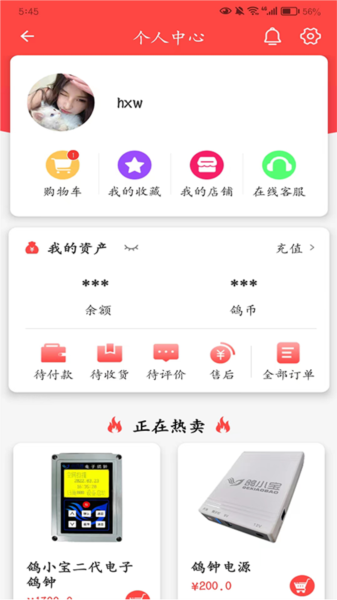 鸽小宝app1