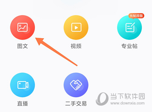 龙巅图文
