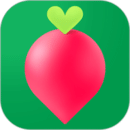 叮咚买菜官网版下载 v12.2.0