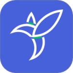 半夏元 V2.2.4