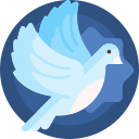 白鸽app V1.0