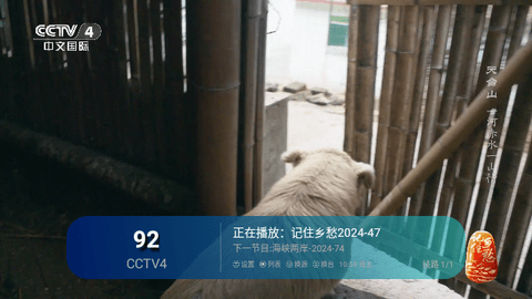 三瓶TV2024最新版