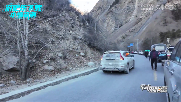 蓝影直播电视版