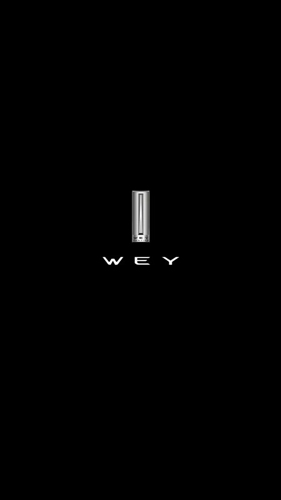 WEYAPP1