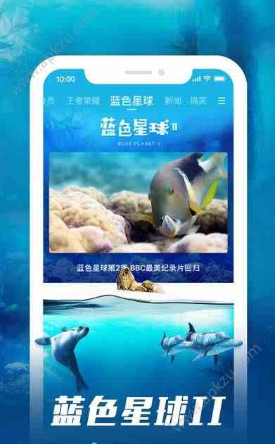 预览图2