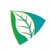 云茶直播v1.3.9