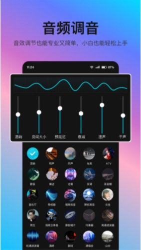 Audio Processing