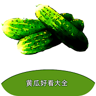 黄瓜阅读2025最新版