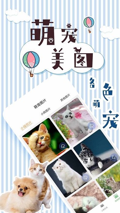 人猫翻译交流器app v1.9.5