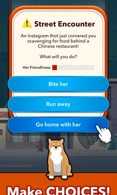 狗的生活