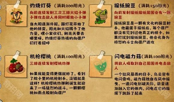 植物大战僵尸无双版手机版