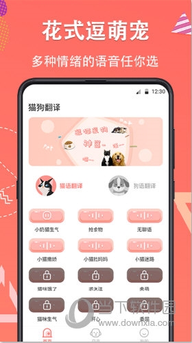 它说人猫狗交流器