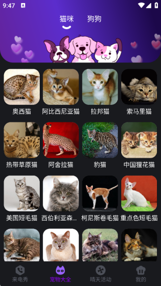 最全免费铃声