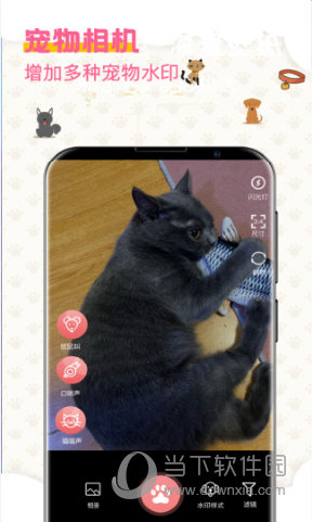宠物翻译器app