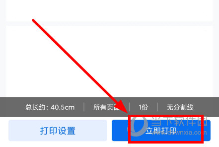蜜蜂试卷