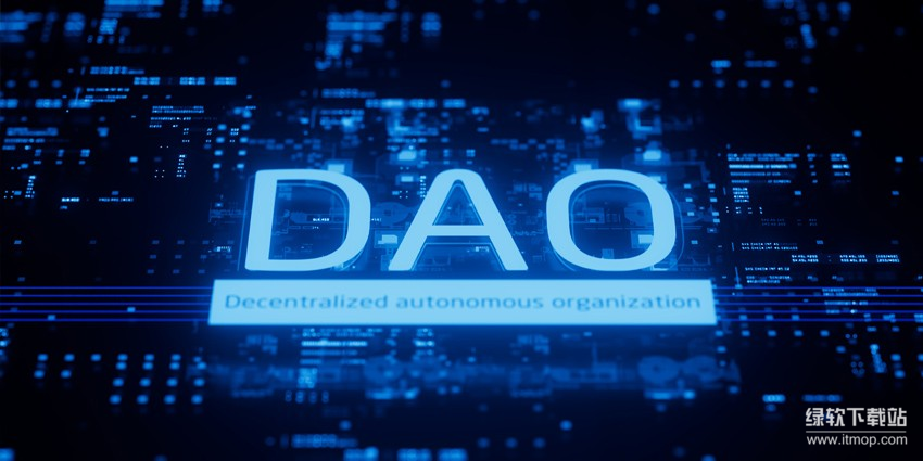 DAO具体有哪些？DAO案例详细分析说明