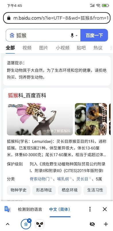 狐猴浏览器3