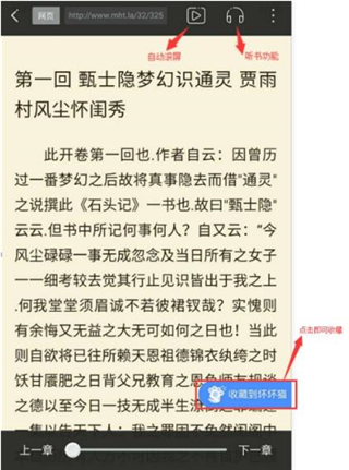 坏坏猫小说免费版