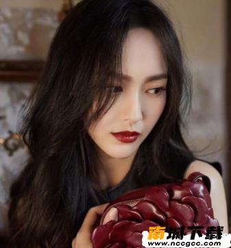 猫咪小视频v2020