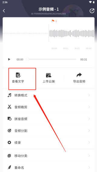 松鼠录音转文字