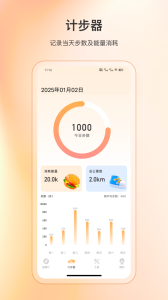 精准指南针