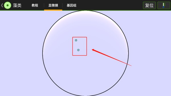细胞实验室官方正版