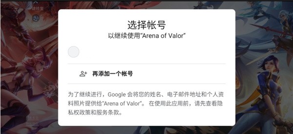 aov国际版游戏截图2