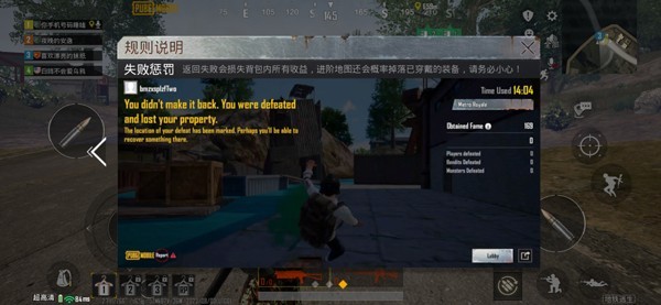 pubgʷ
