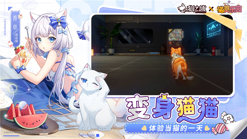 猫之城1