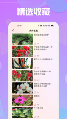 花语秀app v1.1