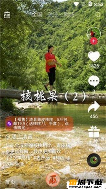 预览图3