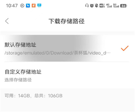 茶杯狐19
