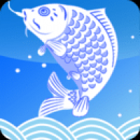 诺亚钓鱼官网版下载