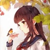 翠鸟直播破解版