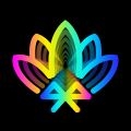 宝莲灯pro V5.2.02下载