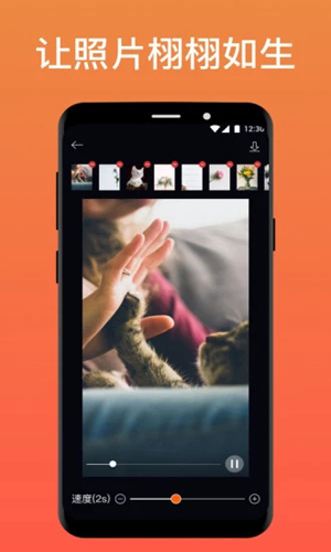 Enlight Pixaloop安卓版 v1.6.1