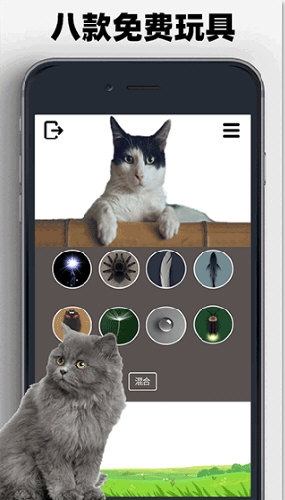 猫狗玩具模拟器