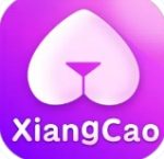 香草直播手机版