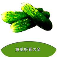 黄瓜阅读app手机纯净版