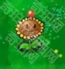 植物大战僵尸废物版