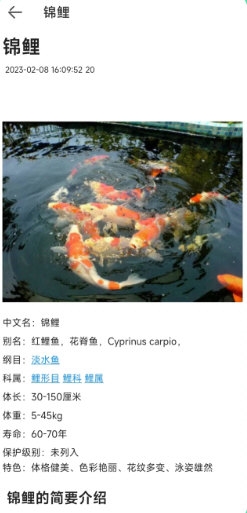 ٿ4