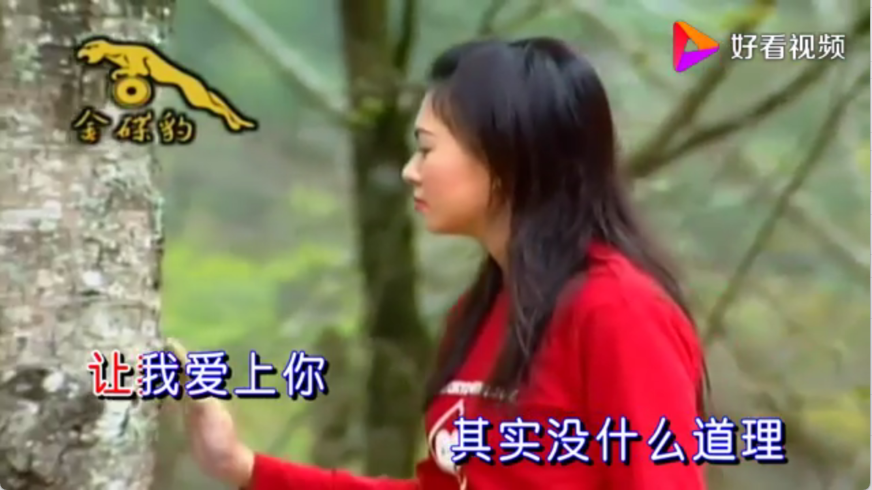 马里奥TV