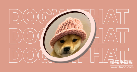 Dogwifhat背后有团队吗？它的社区治理是怎样运作的？