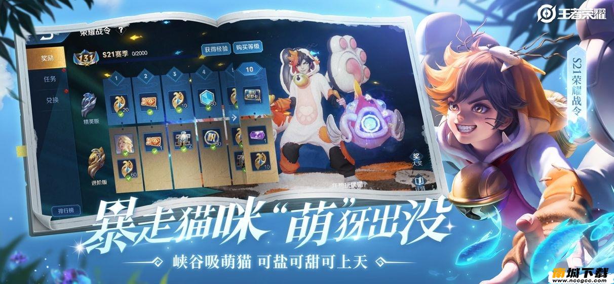 预览图2